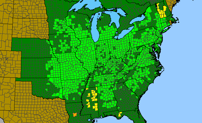 The range of Staphylea trifolia